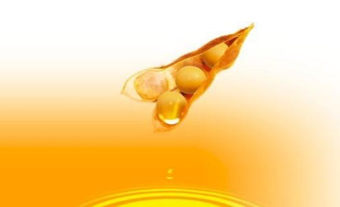 豆油期貨波動(dòng)一個(gè)點(diǎn)多少錢？豆油期