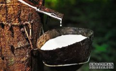 橡膠上漲仍可期，焦炭期現(xiàn)聯(lián)動(dòng)，向