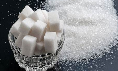 白糖期貨的手續費在平今倉中有沒有