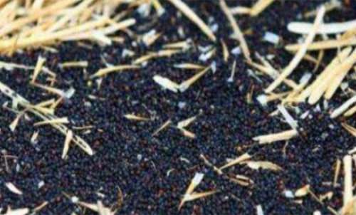 新手計算菜粕期貨的手續費簡單嗎？