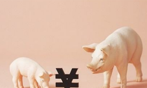 一手生豬期貨交易成本要多少錢(qián)？保